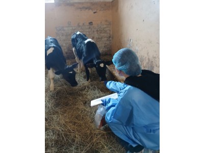 ОСВІТА ЧЕРЕЗ ПРАКТИКУ СТУДЕНТІВ  В НАВЧАЛЬНО-ПРАКТИЧНОМУ ЦЕНТРІ 