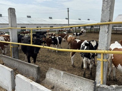 ПРАКТИЧНІ ЗНАННЯ З ПЕРШИХ РУК: НАВЧАЛЬНИЙ ВІЗИТ ДО ЛИПКОВАТІВСЬКОГО АГРАРНОГО КОЛЕДЖУ