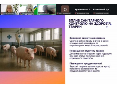 ПРОФЕСІЙНІ КРОКИ ВИПУСКНИКІВ: ПІДСУМКИ ПЕРЕДДИПЛОМНОЇ ПРАКТИКИ