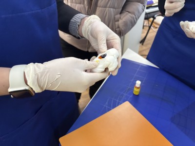 МАЙСТЕР-КЛАС МОВА СОЛОДКОГО ДЕКОРУ: ФОРМИ, КОЛЬОРИ, ІНСТРУМЕНТИ» МАЙСТЕР-КЛАС МОВА СОЛОДКОГО ДЕКОРУ: ФОРМИ, КОЛЬОРИ, ІНСТРУМЕНТИ»