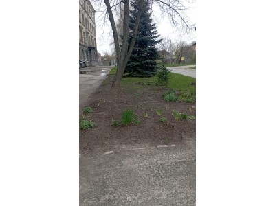 ЗЕЛЕНА ВІТАЛЬНЯ» – НОВИЙ ПРОСТІР ДЛЯ ВІДПОЧИНКУ ТА НАТХНЕННЯ