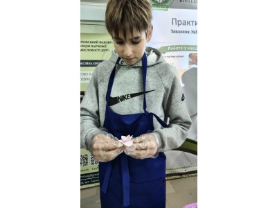 СОЛОДКА МАЙСТЕРНІСТЬ: ВІД КОЛЬОРОВОЇ МАСТИКИ ДО КОНДИТЕРСЬКОГО ДЕКОРУ СОЛОДКА МАЙСТЕРНІСТЬ: ВІД КОЛЬОРОВОЇ МАСТИКИ ДО КОНДИТЕРСЬКОГО ДЕКОРУ
