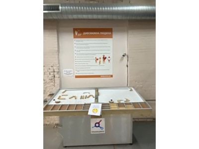 * Новый материал * Новый материал