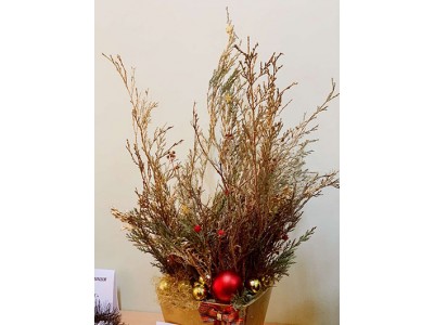 Новорічні дива