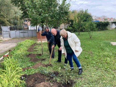 Зростайте і квітніть, чарівні троянди!!!Краса врятує світ!!! Зростайте і квітніть, чарівні троянди!!!Краса врятує світ!!!