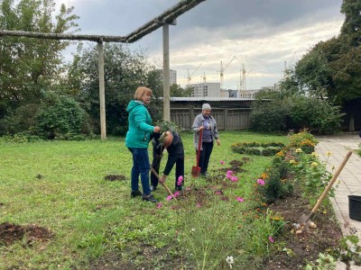 Зростайте і квітніть, чарівні троянди!!!Краса врятує світ!!! Зростайте і квітніть, чарівні троянди!!!Краса врятує світ!!!