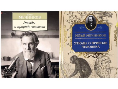 * Новый материал * Новый материал