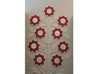 Фотогалерея