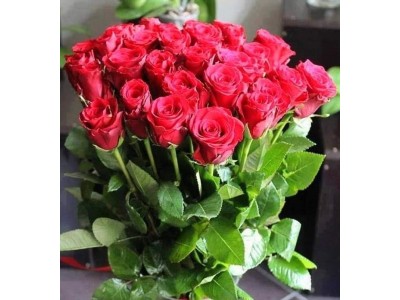 ХХІV Міжнародний конкурсс з української мови імені Петра Яцика ХХІV Міжнародний конкурсс з української мови імені Петра Яцика