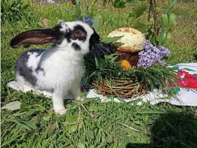 КОНКУРС ФОТОКОМПОЗИЦІЙ "УКРАЇНСЬКИЙ ВЕЛИКДЕНЬ"